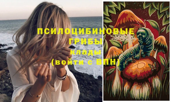 спайс Беломорск