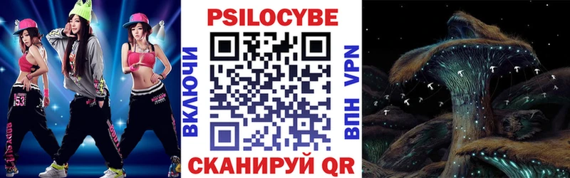 Галлюциногенные грибы мицелий  магазин продажи наркотиков  Гусев 