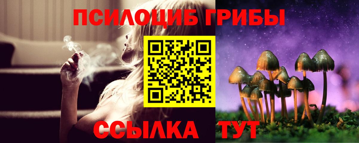 Галлюциногенные грибы MAGIC MUSHROOMS  наркошоп  Вход с VPN  Гусев  Псилоцибиновые грибы мицелий 
