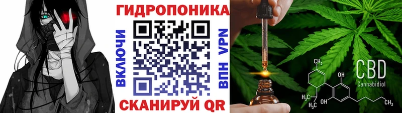 Канабис семена Гусев